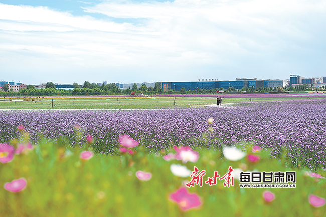 兰州新区绿色发展,兰州的生态文明建设的成果