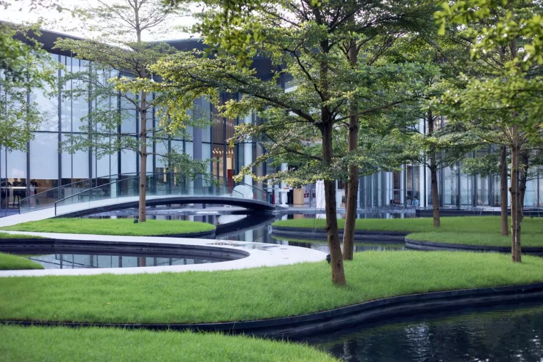 石语慕松林，水苑倾闻荫|广州保利·花城纪