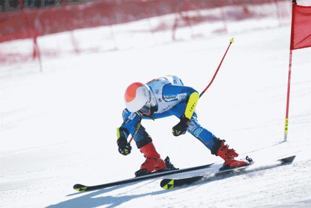 二青会吉祥物为什么是青青,二青会吉祥物青青