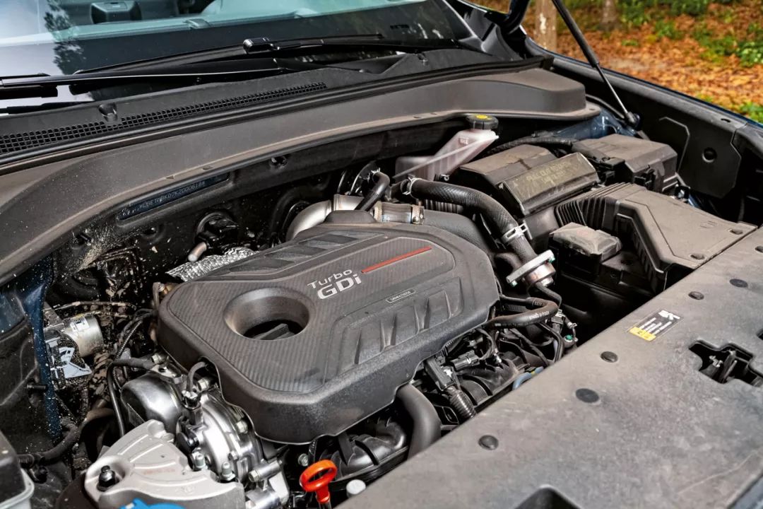 幸福从不缺席视频,幸福从不缺席