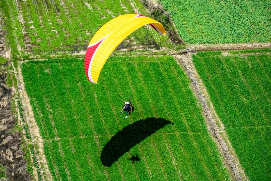 欢乐暑假成人游乐园,童玩节亲子游