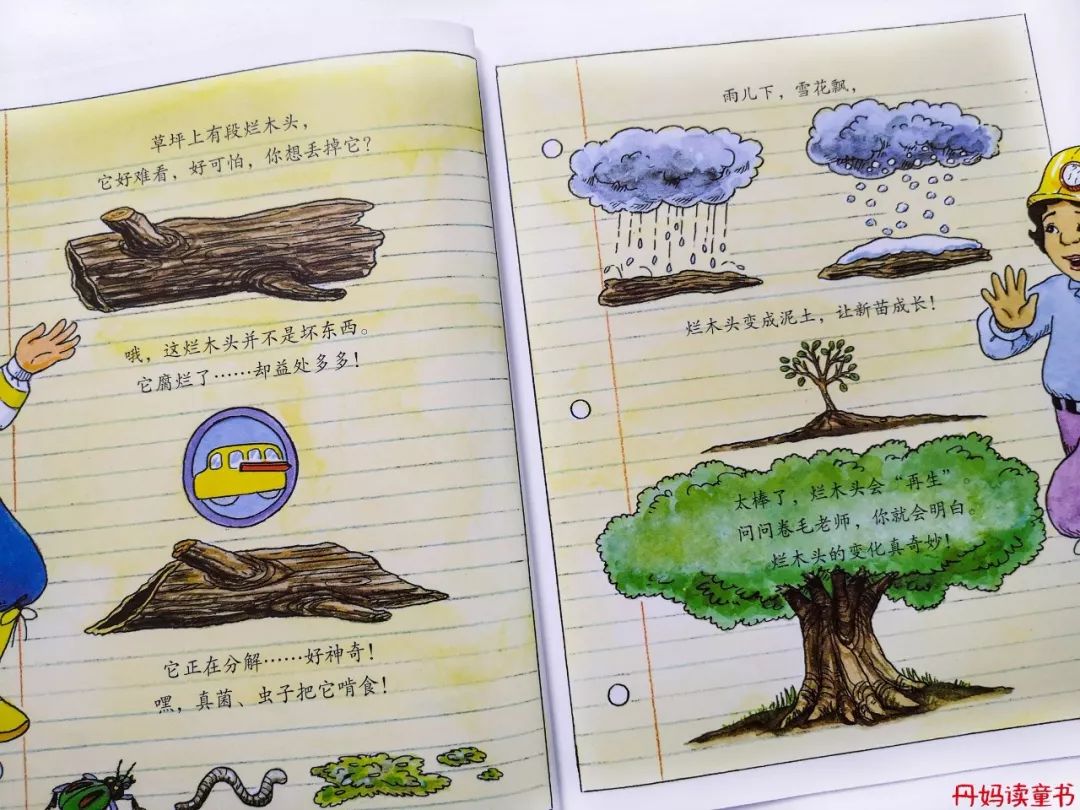 全球销量第一的书,全球十大销量书