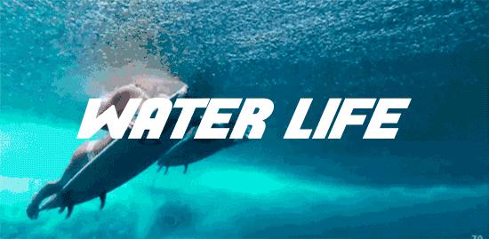 快乐而充实的冬令营之旅,冬令营魅力有多强