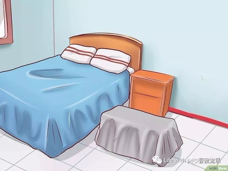 如何捕捉泥鳅,如何捕捉苍蝇