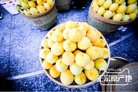 炎陵黄桃品牌大全,炎陵黄桃品牌