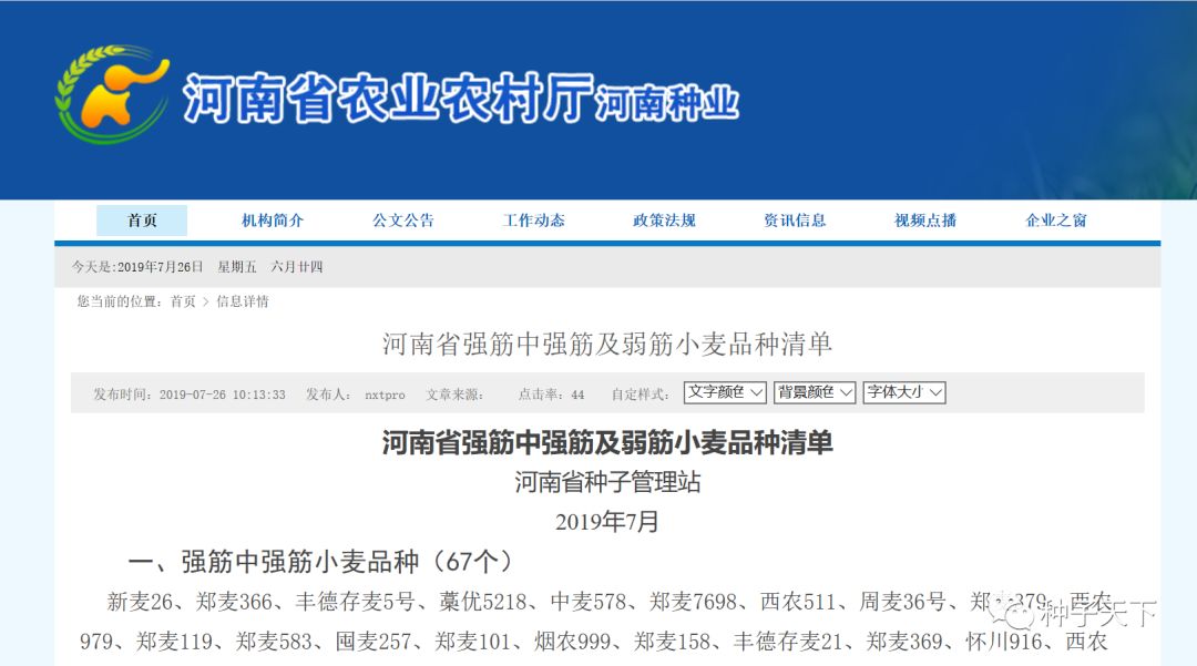 强筋小麦品种报价,强筋小麦品种有哪些