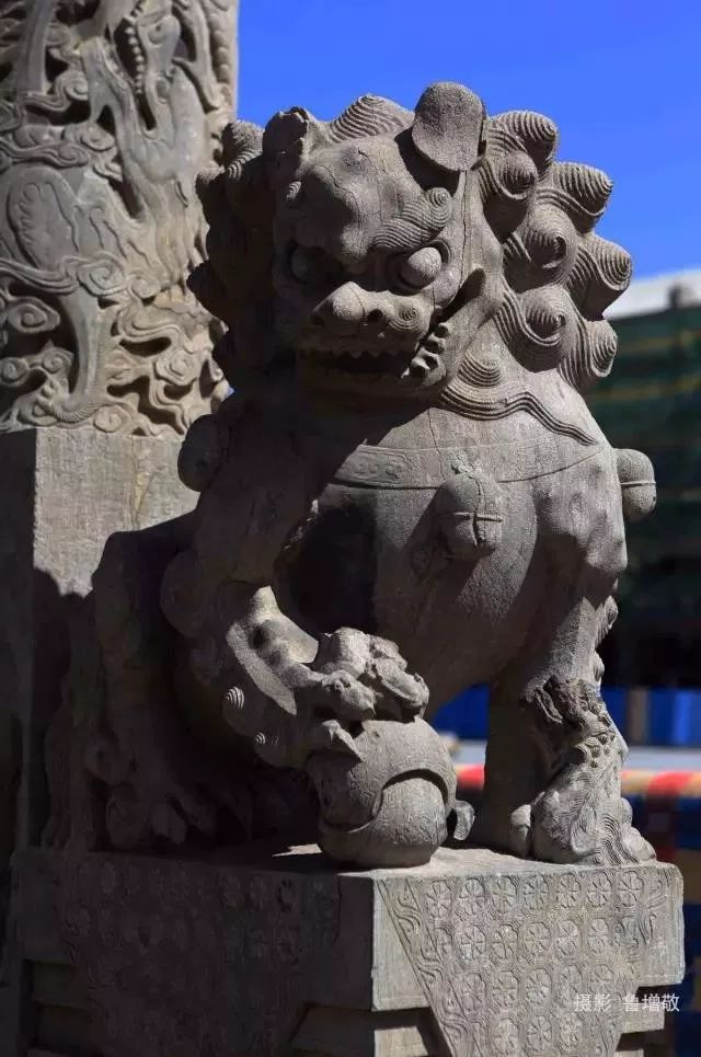 单县最值得去的地方,单县值得去的地方