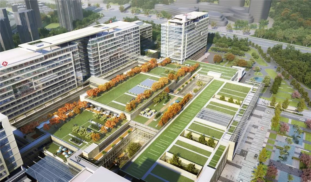 双流区医院规划,双流新建医院