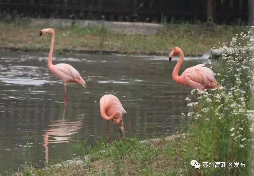 三号线实景,重庆轨道交通3号线