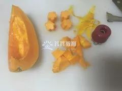 催乳汤木瓜牛奶,催乳木瓜炖牛奶怎么做