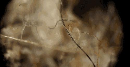 官方正品乳胶冰丝凉席,温度太高推荐一款冰丝凉席