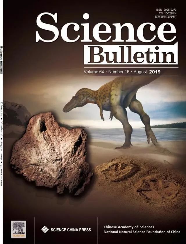 发现了霸王龙的足迹化石,霸王龙挖出的化石有哪些