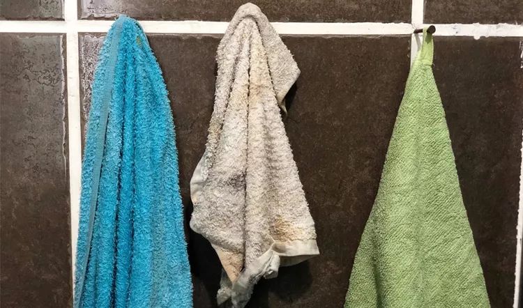 买送|用大豆做的毛巾，速干、柔软、防霉、防臭