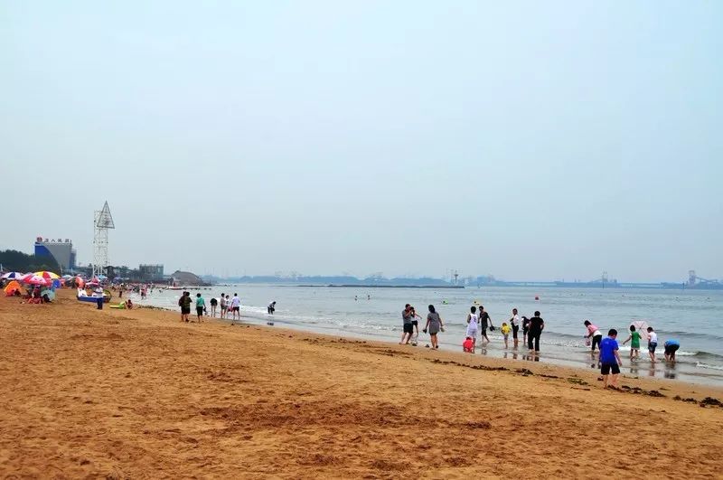 秦皇岛赶海哪里有螃蟹,秦皇岛蟹贝湾赶海