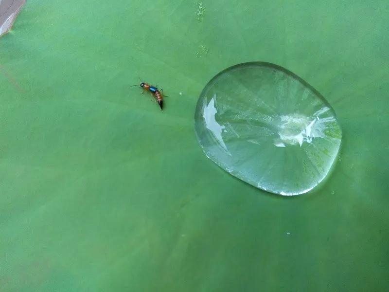 盘点骑行中可能出现的意外