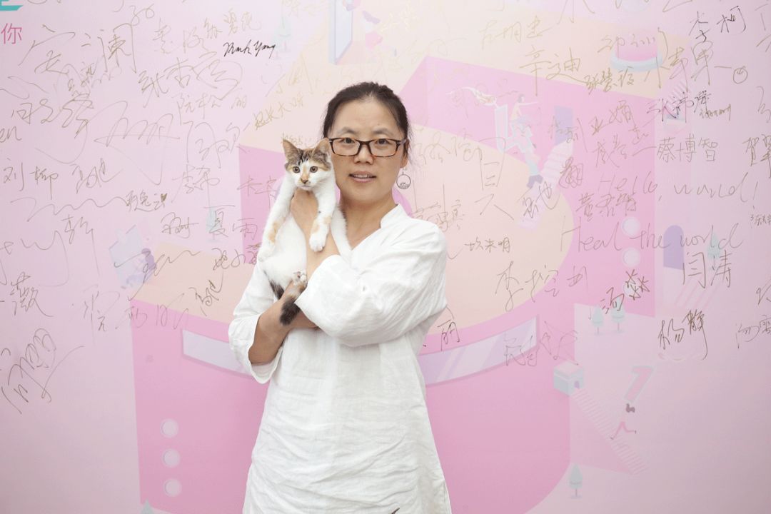 我用了19年，终于读懂了猫的情绪