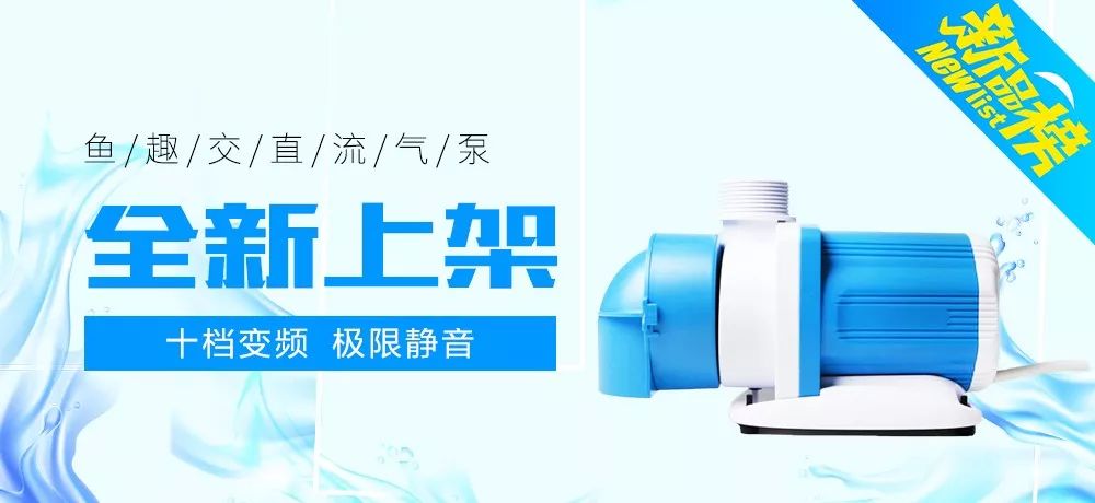 一次沉痛的教训,一次惨痛的血的教训