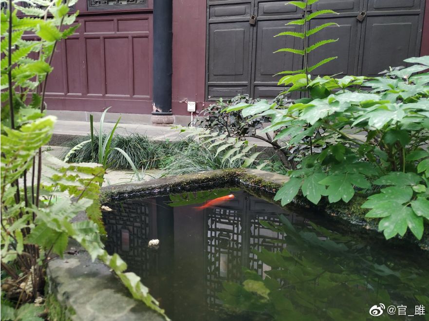 成都夏日清凉去处附近,成都避暑一日游地铁