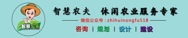 知农道农无土栽培实操技术,无土栽培的知识