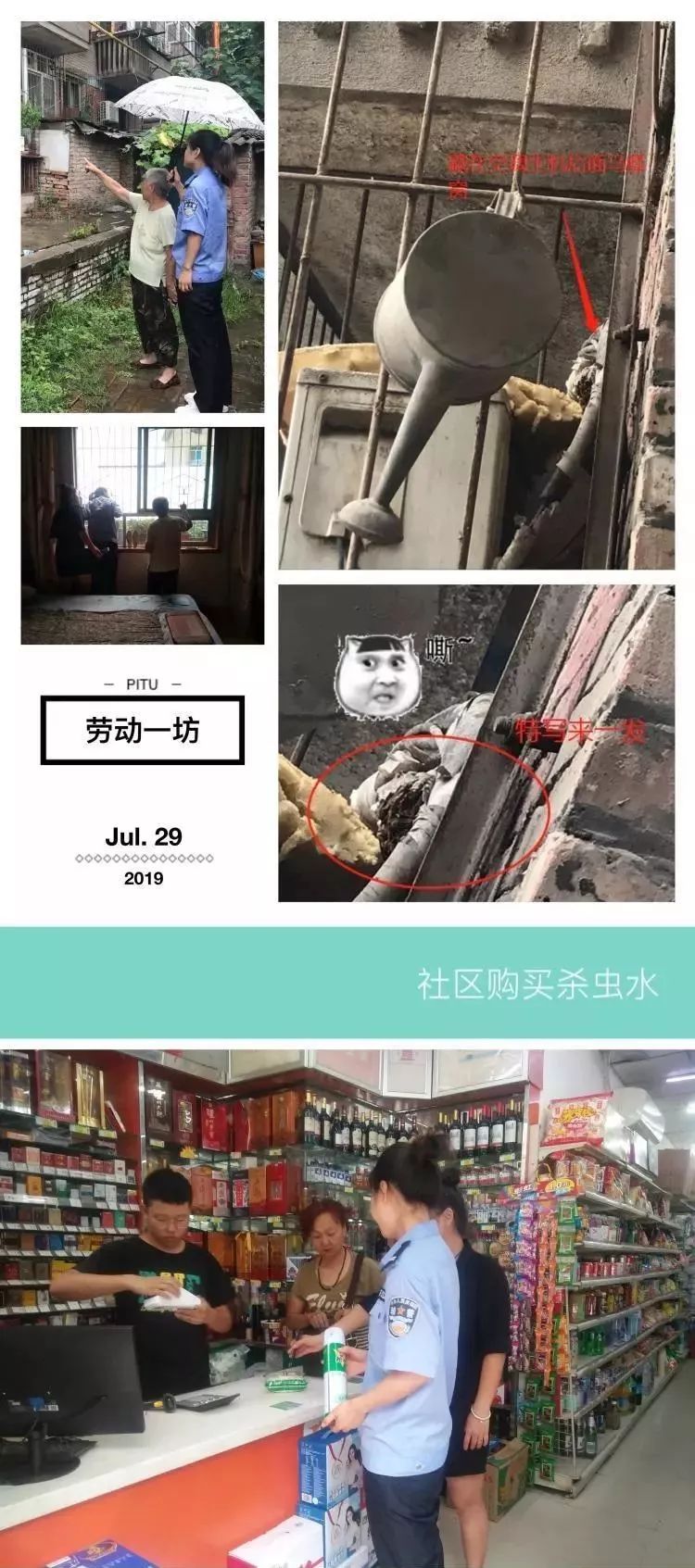 马蜂出没请注意切勿擅自处理,大马蜂窝上面有马蜂怎样处理