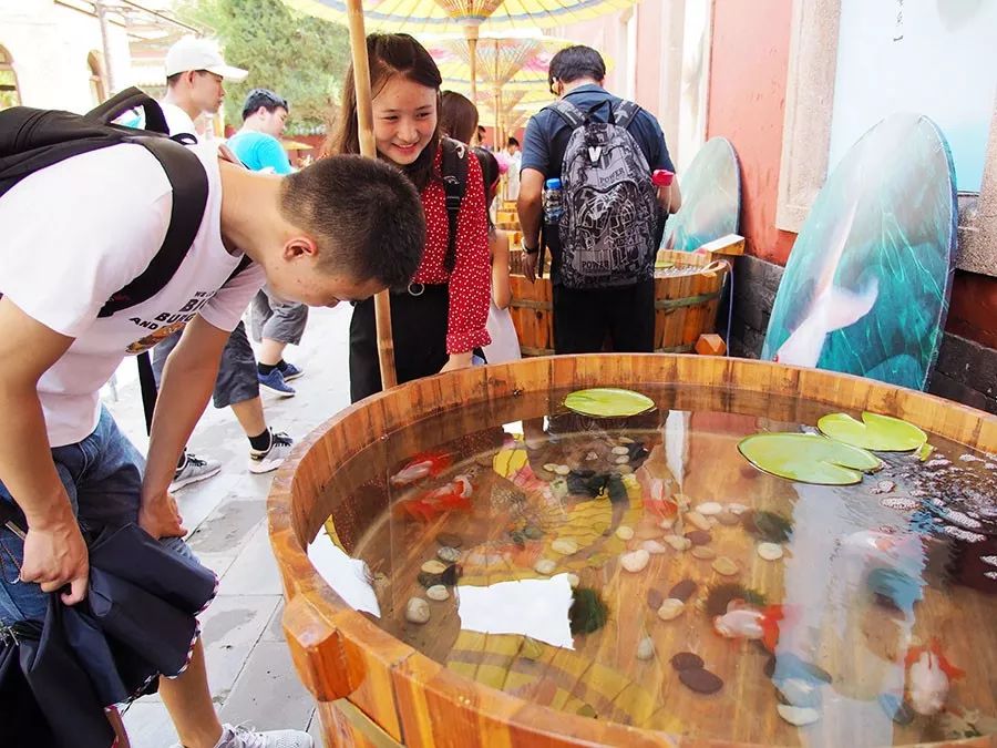 1200条金鱼,200条金鱼