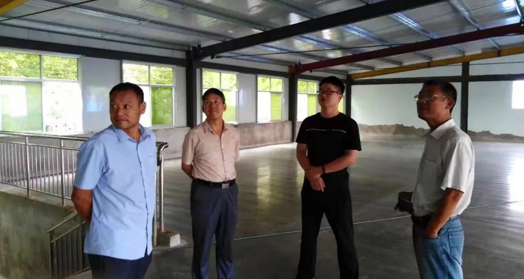 【聚焦】《大众日报》刊发峄城区底阁镇前岳城村探索集体经济发展新路径——黑鸡枞托起贫困村致富新希望