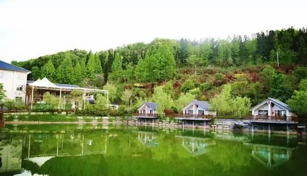 竹溪县龙王垭景区,竹溪龙王垭