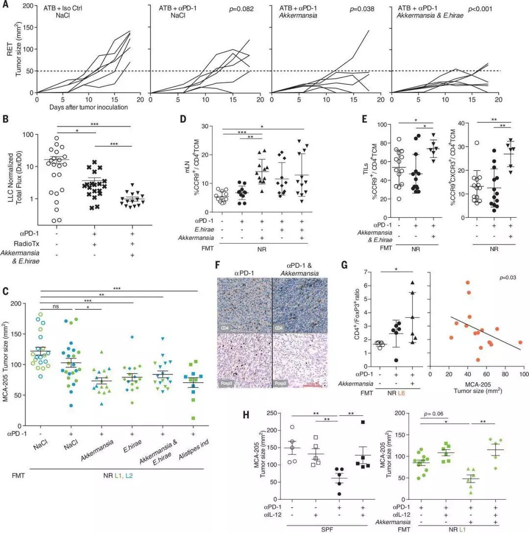 akk益生菌有什么功效,万能益生菌效果怎么样