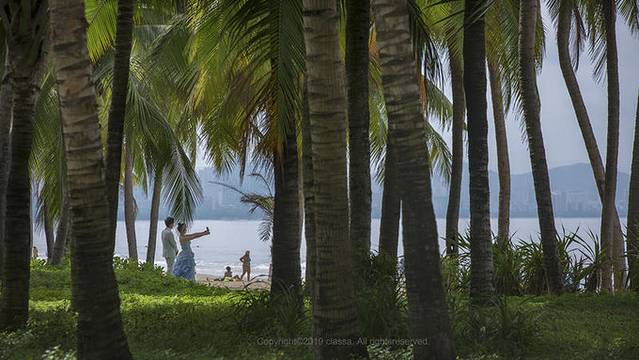 近七天游三亚,海南轻松游