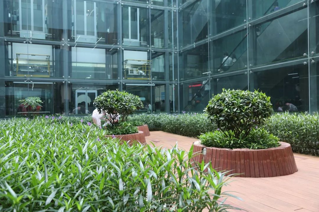 宝安妇幼保健院陈旭日,宝安医院陈旭