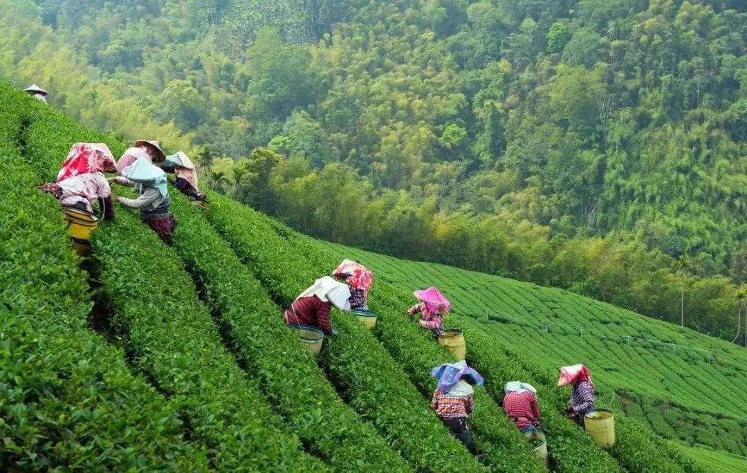 安州带娃避暑2-3天推荐,安州避暑胜地排名