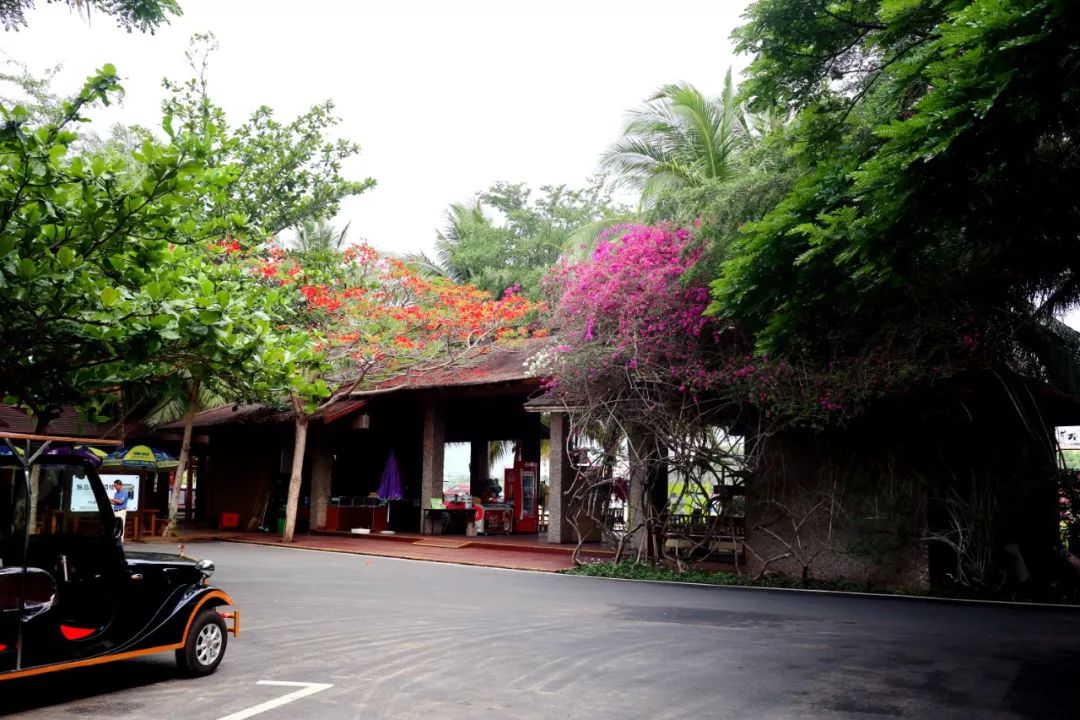 远离人海找个小众地方,避开喧嚣寻一处静谧