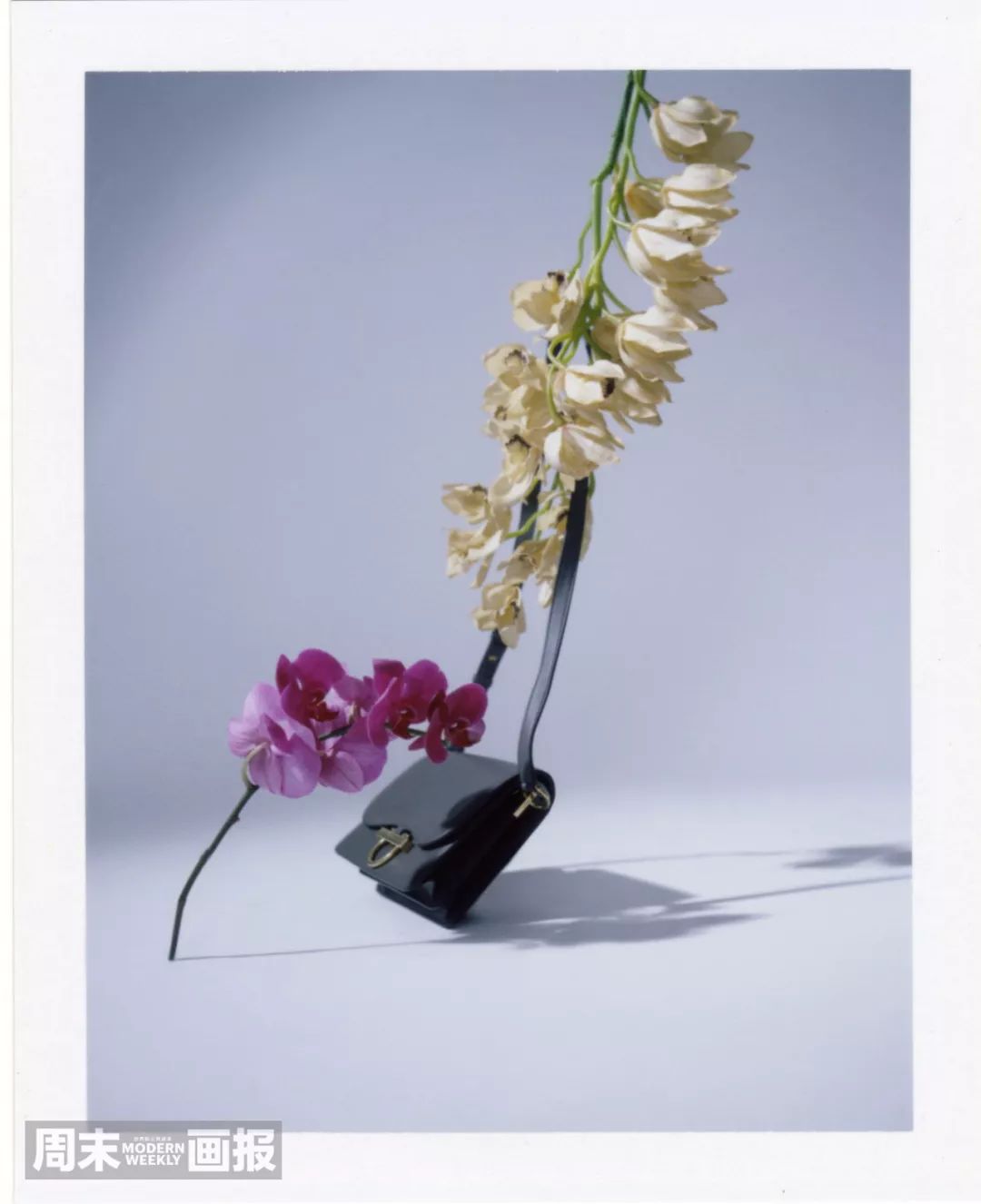 2021所有电视剧的cp,2022年剧集cp排行榜