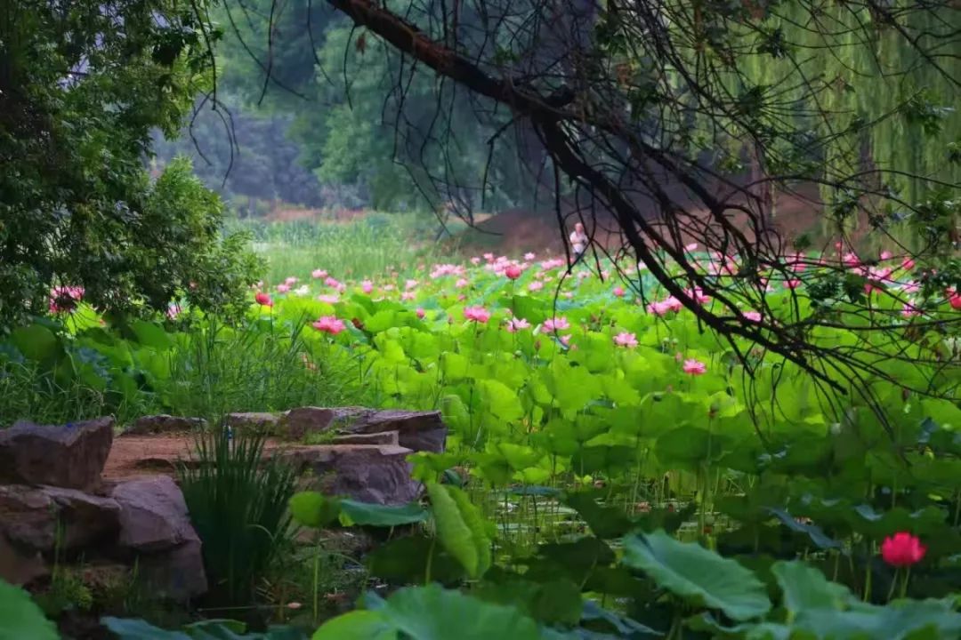 《哪吒》：孤独，只因没有在这里遇见TA