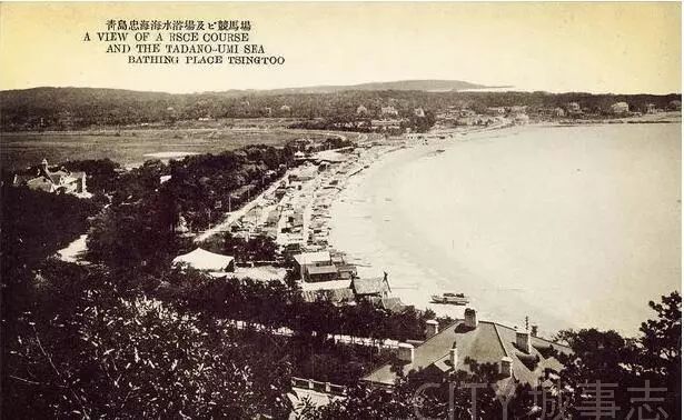 洗海澡野史（文末有干货）