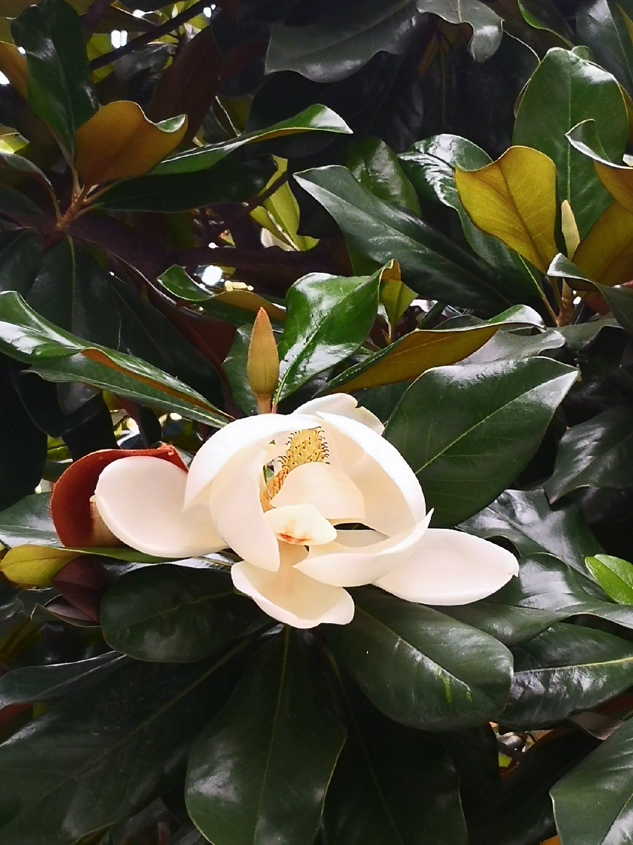 夜钓约会,夜钓男人的浪漫