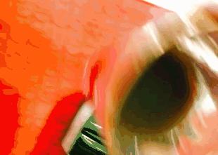 昔日女神负面消息缠身险过气,转手做生意却搞得风生水起