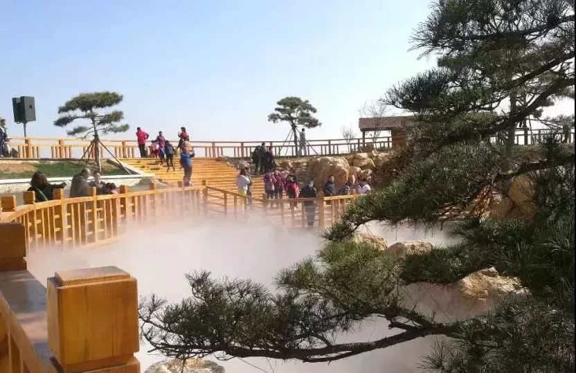 比“童言夫妇”更火爆的，可能只有鹿泉的TA们了！