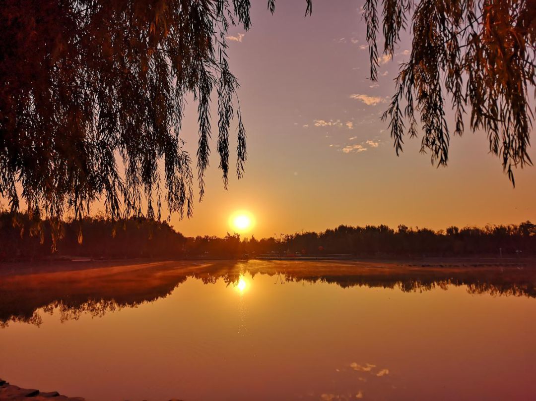 大厂日常生活,大厂夏天来了