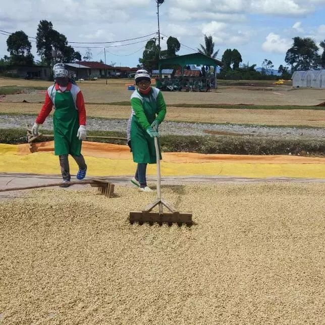 印度尼西亚和印度区别,你不知道的印度尼西亚