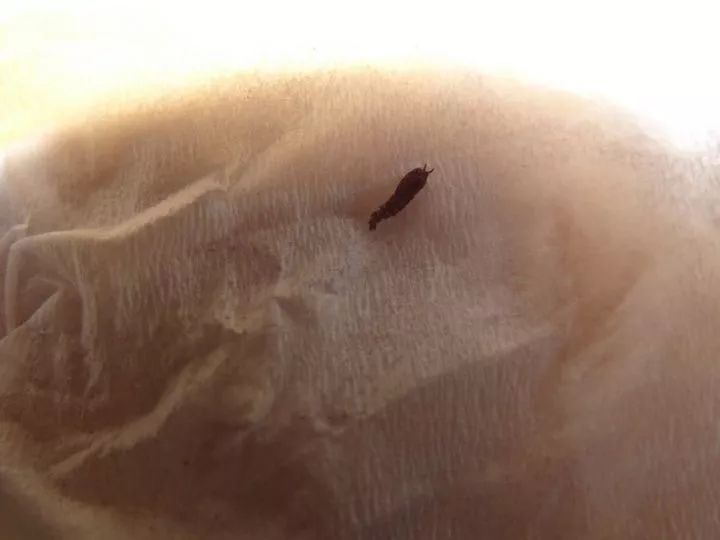 一次沉痛的教训,一次惨痛的血的教训