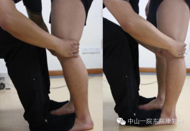 筋膜的康复训练方法,12条筋膜链解析及治疗手法