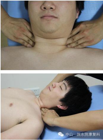 筋膜的康复训练方法,12条筋膜链解析及治疗手法