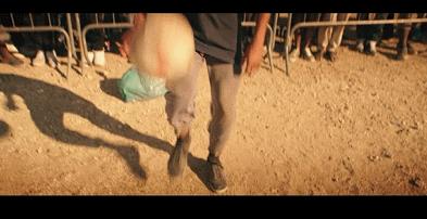 创造票房纪录的超燃电影,创下票房奇迹的超级大片