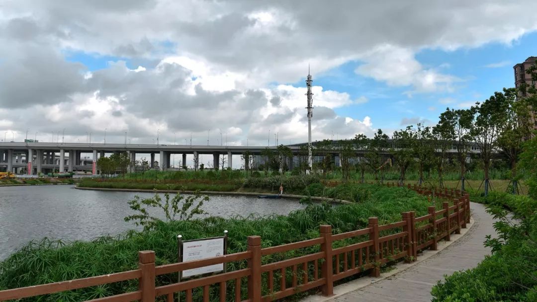 【图说】徐泾水环境“成绩单”出炉,一组图片眼见为实