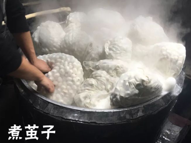 棉花被与蚕丝被哪个好,棉花被跟蚕丝被哪个好
