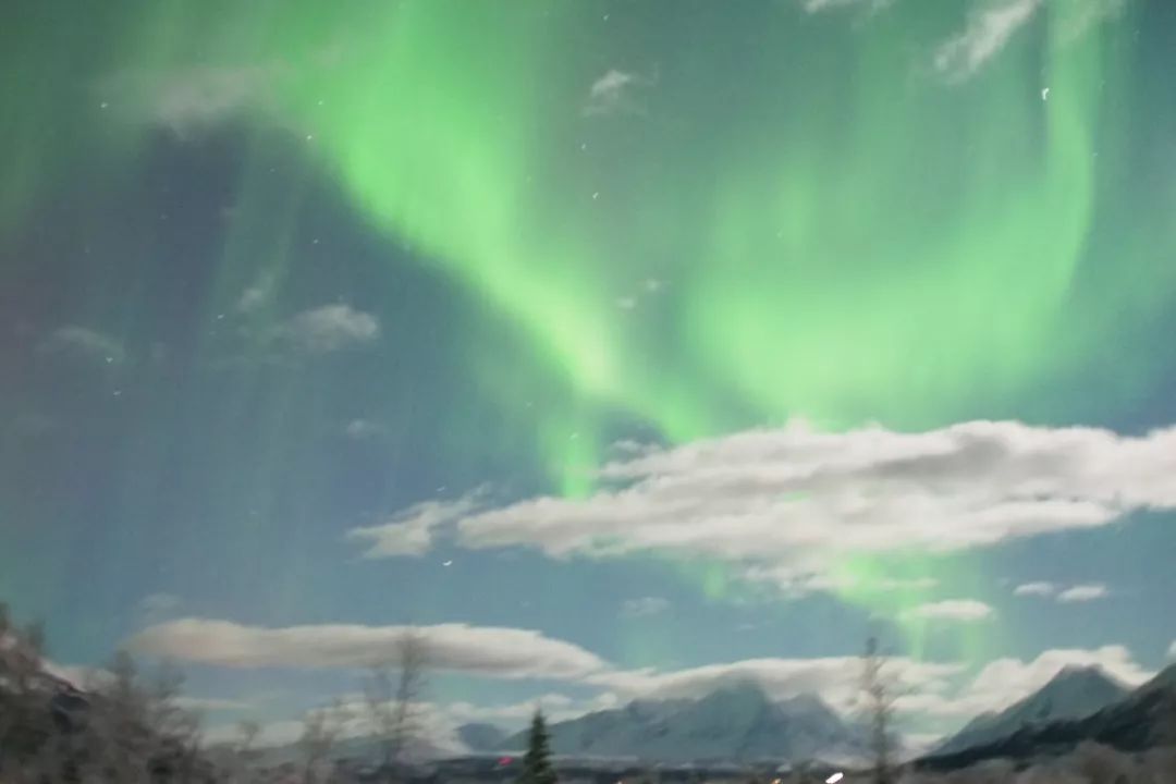 为什么我们迷恋恐龙,为什么我们痴迷篮球