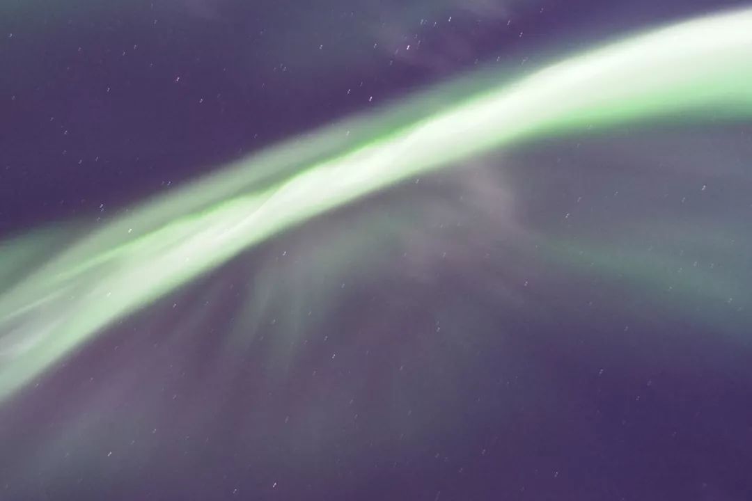 为什么我们迷恋恐龙,为什么我们痴迷篮球