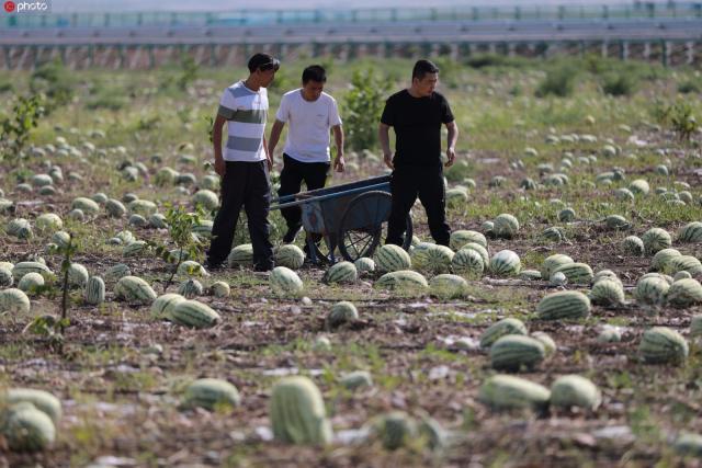 瀹佸瑗跨摐浠婂勾鐘跺喌,鐢樿們瑗跨摐婊為攢鐜扮姸