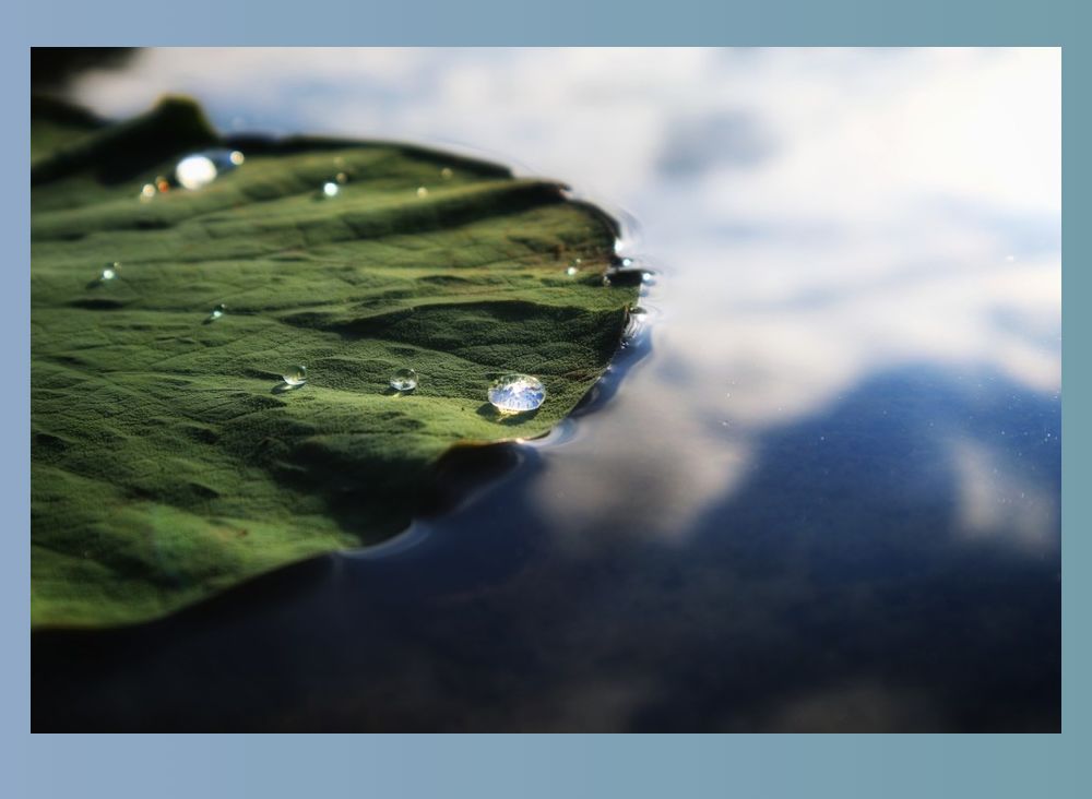 立秋宜下雨还是天晴,这是立秋后最凉快的一天